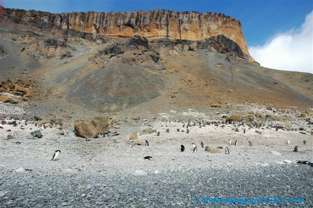 antarctica 2005