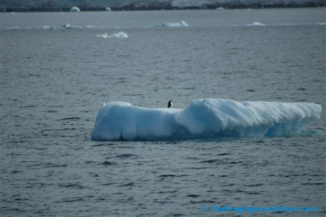 antarctica 2005